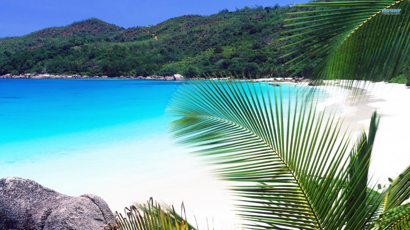 Seychelles-beach-Custom.jpg